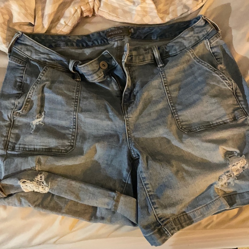 Torrid Shorts